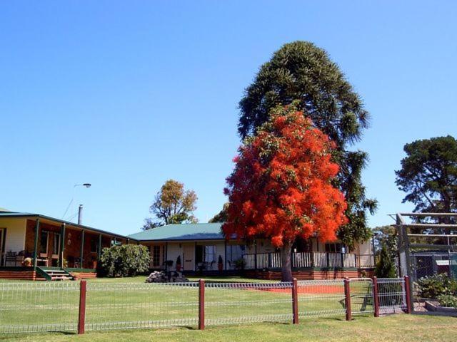 Snowy River Homestead Newmerella Exterior photo